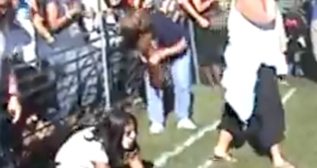 ダックスフンド,動画