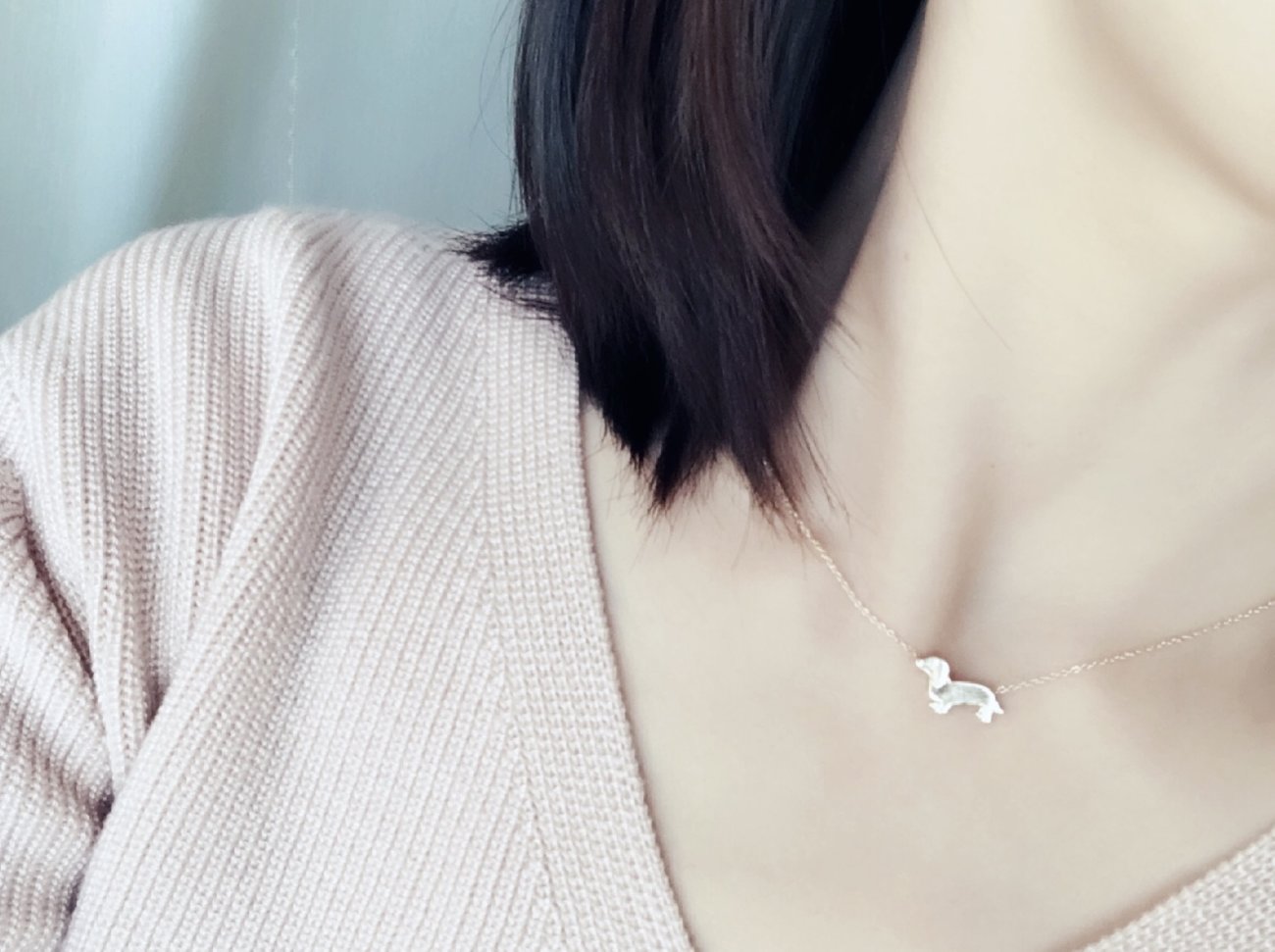 ダックスフンド,アクセサリー,アニマーレ