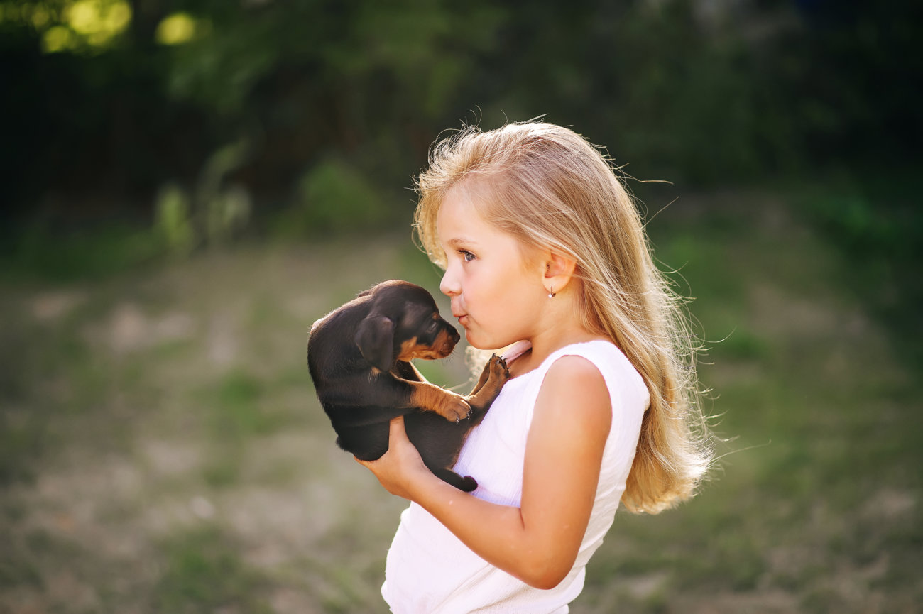 イッヌドットライフ