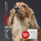 【83％が健康維持を実感！】純度100%の犬用コラーゲンサプリ『Ta-Ta(タータ)』を作りました！
