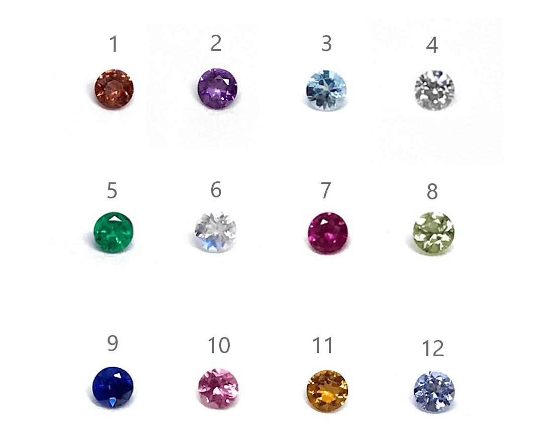 ダックスフンド,アクセサリー,アニマーレ