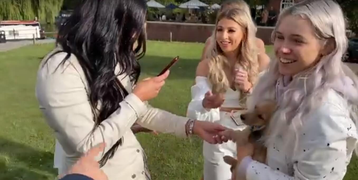 ダックスフンド,動画