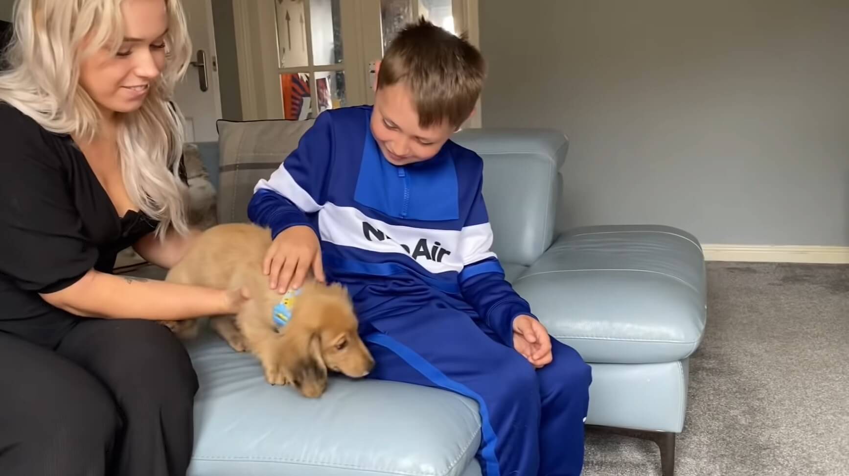 ダックスフンド,動画