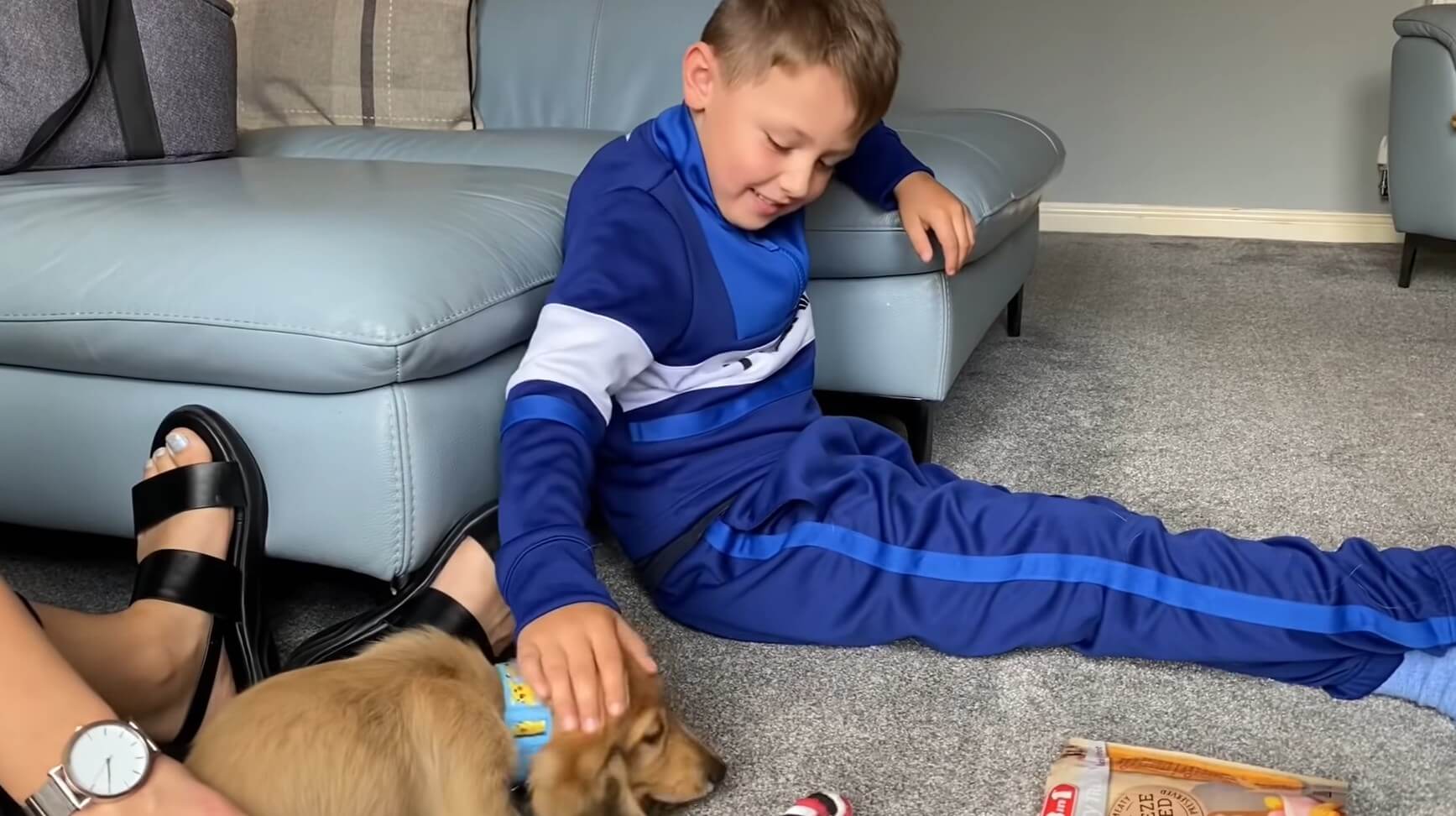 ダックスフンド,動画