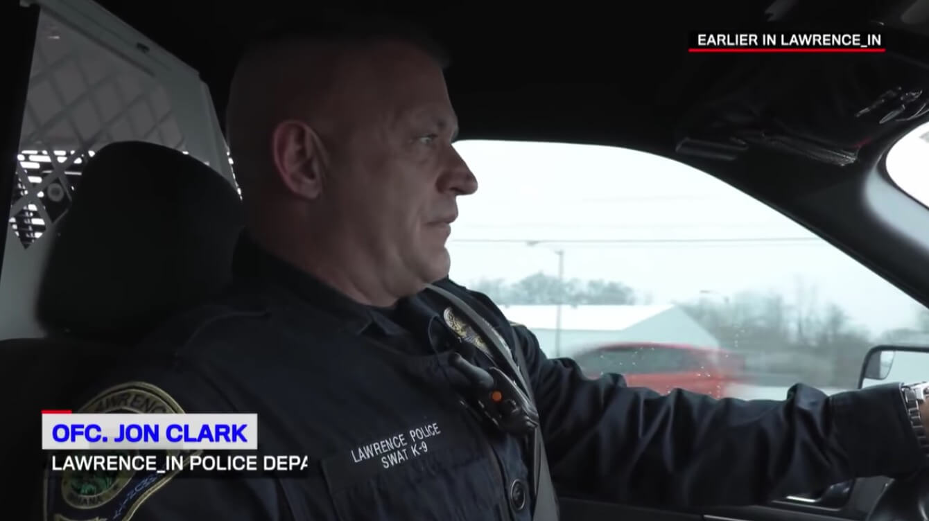 ダックスフンド,動画