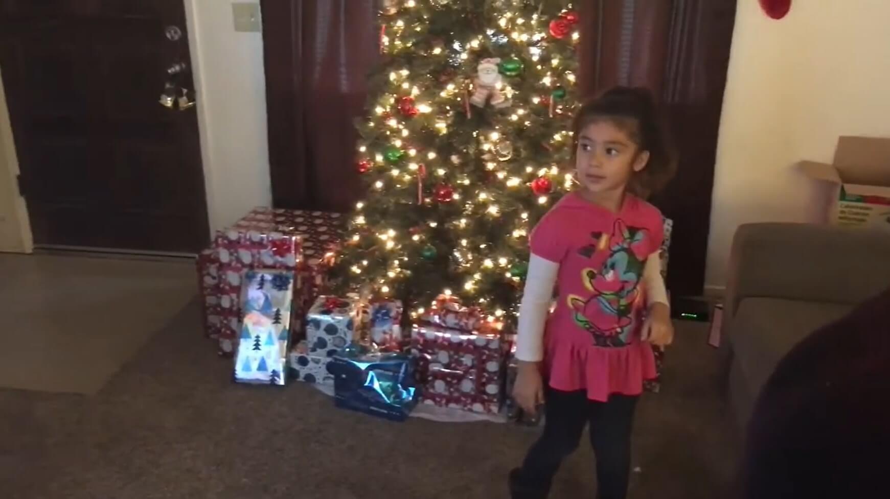 ダックスフンド,動画