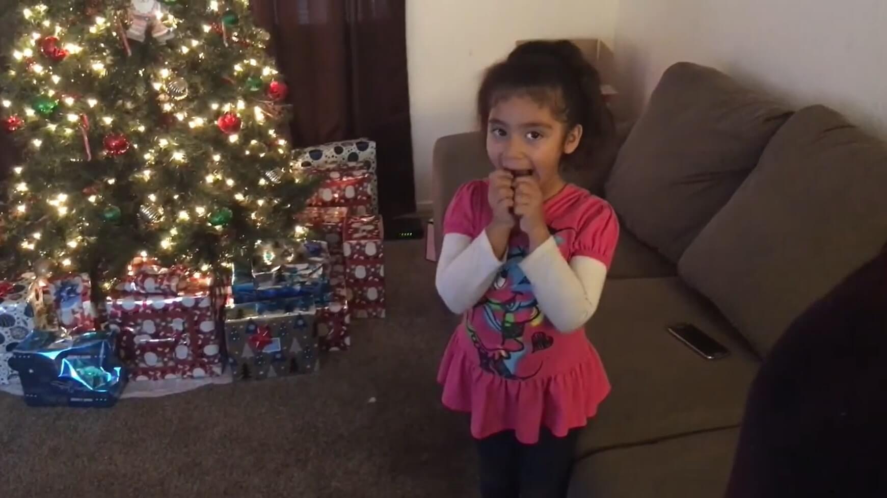 ダックスフンド,動画