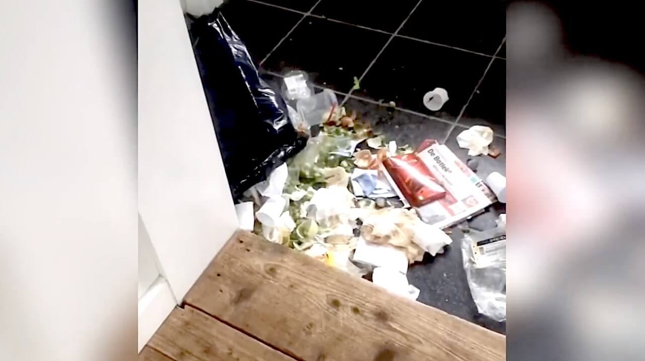 ダックスフンド,動画