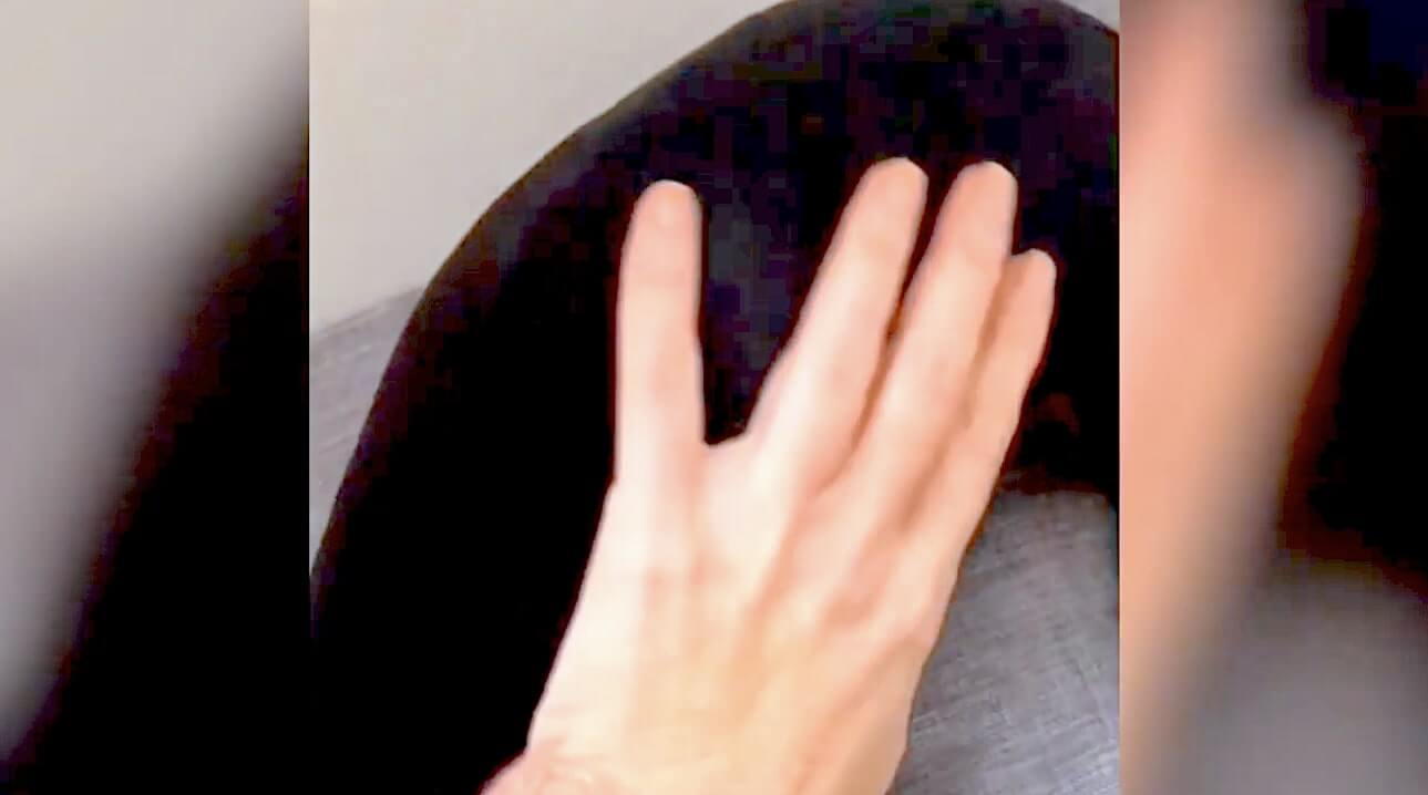 ダックスフンド,動画