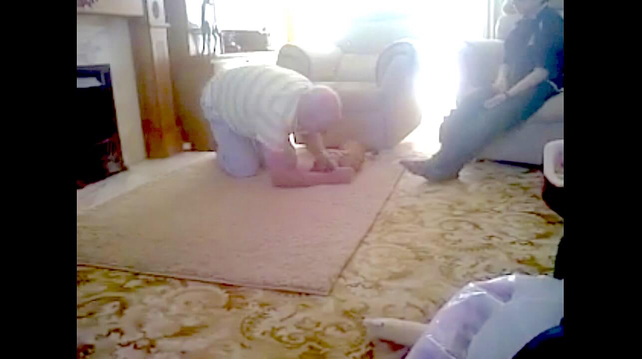 ダックスフンド,動画