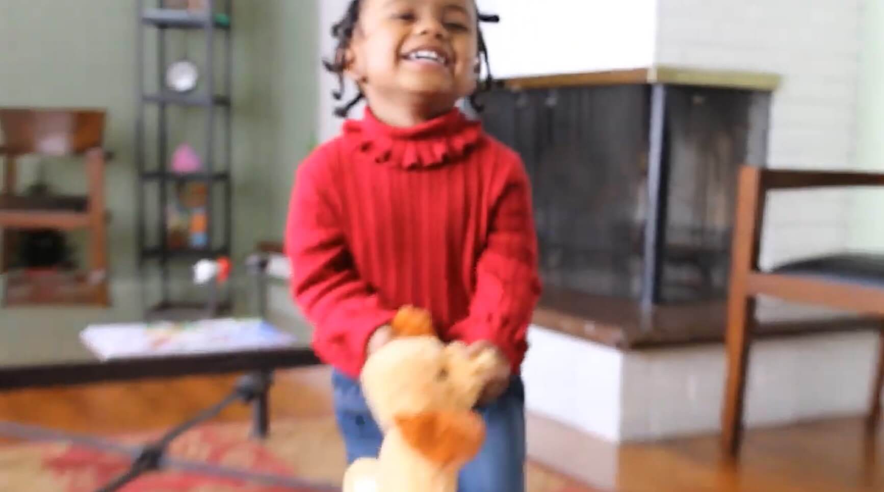 ダックスフンド,動画