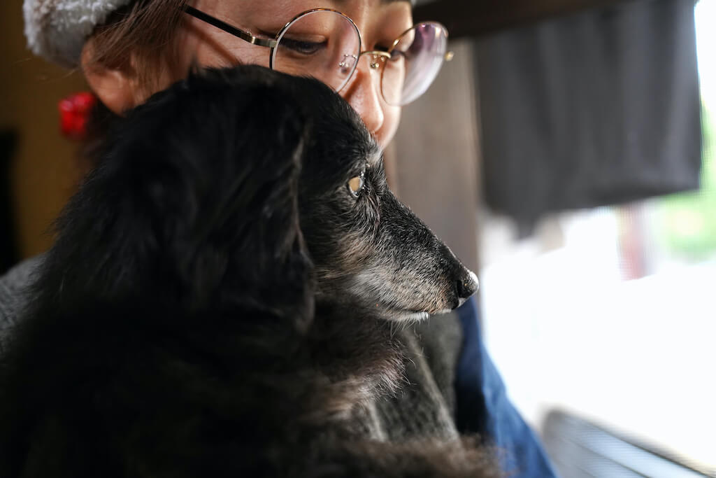 ダックスと家族