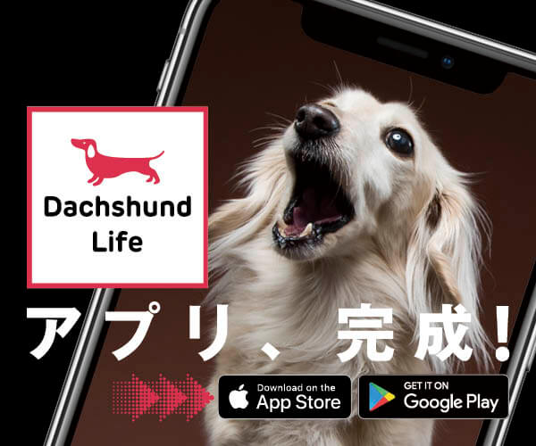 アプリ,App,ダックスフンドライフ