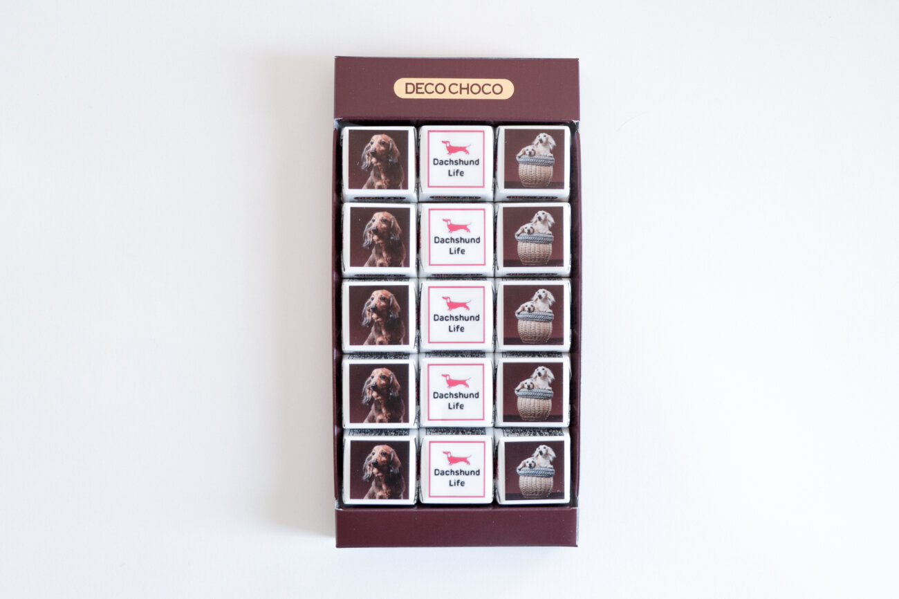 ダックスフンド,デコチョコ,チロルチョコ