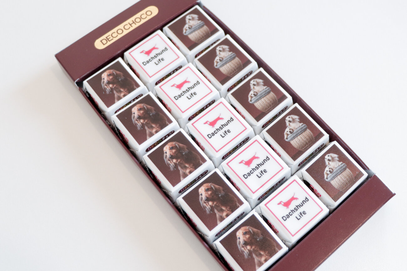 ダックスフンド,デコチョコ,チロルチョコ