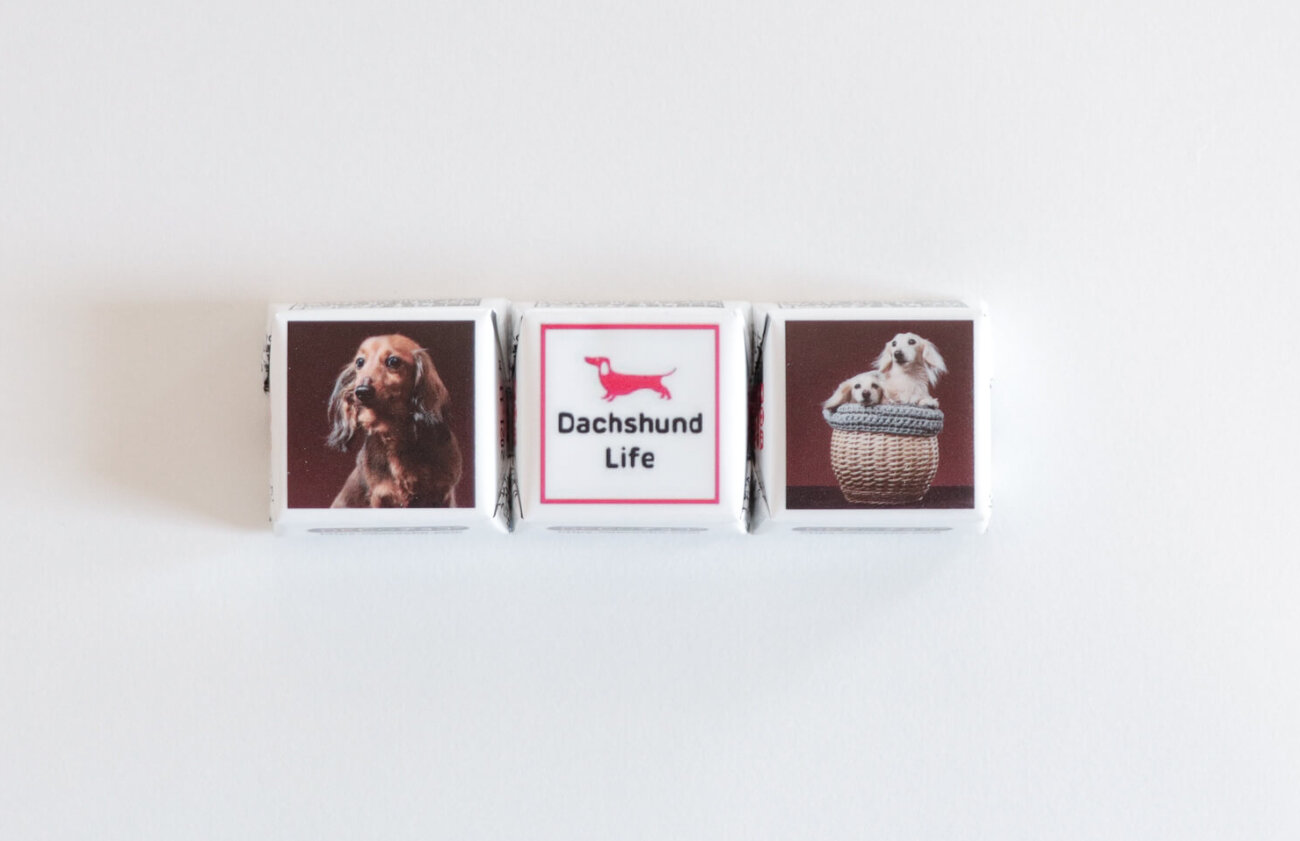 ダックスフンド,デコチョコ,チロルチョコ