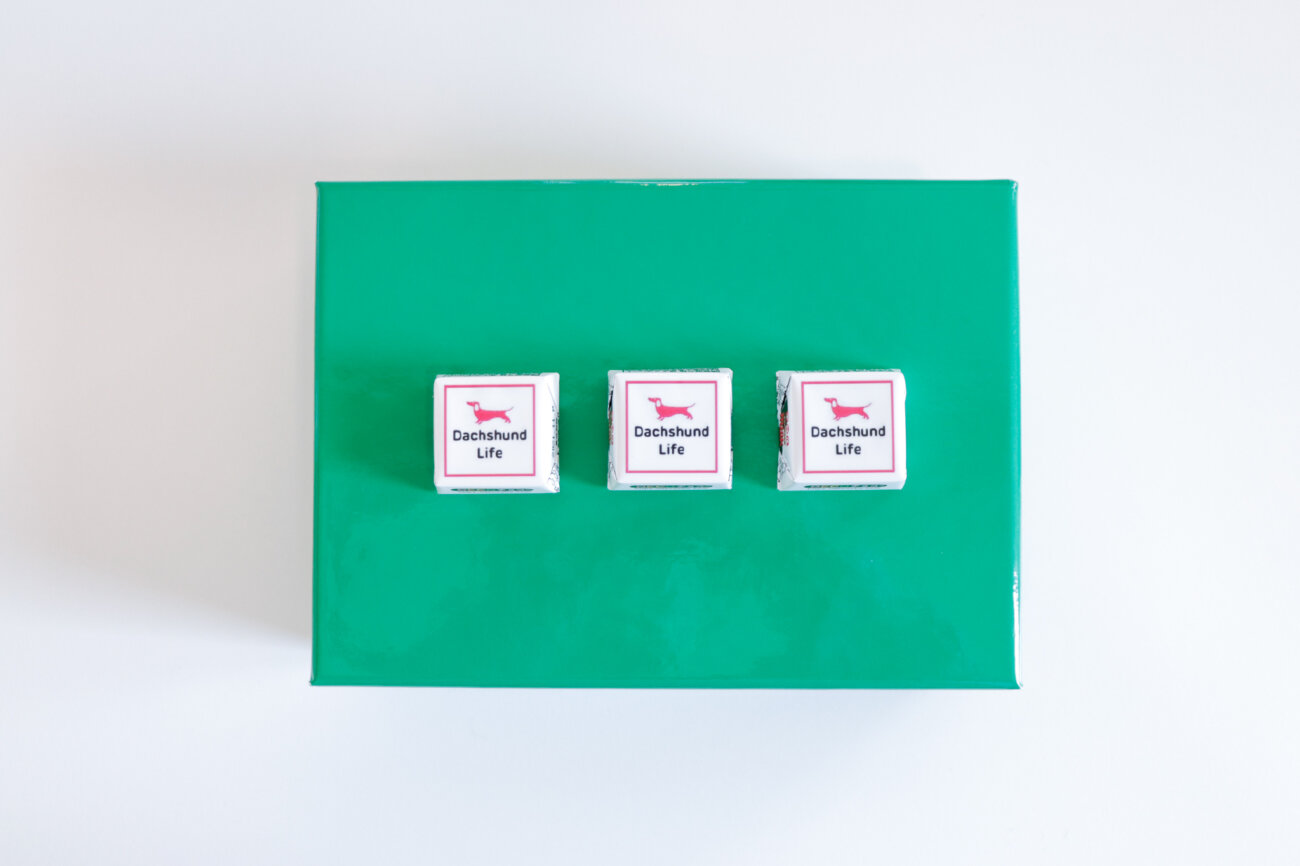 ダックスフンド,デコチョコ,チロルチョコ