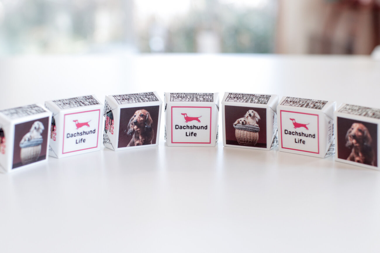 ダックスフンド,デコチョコ,チロルチョコ