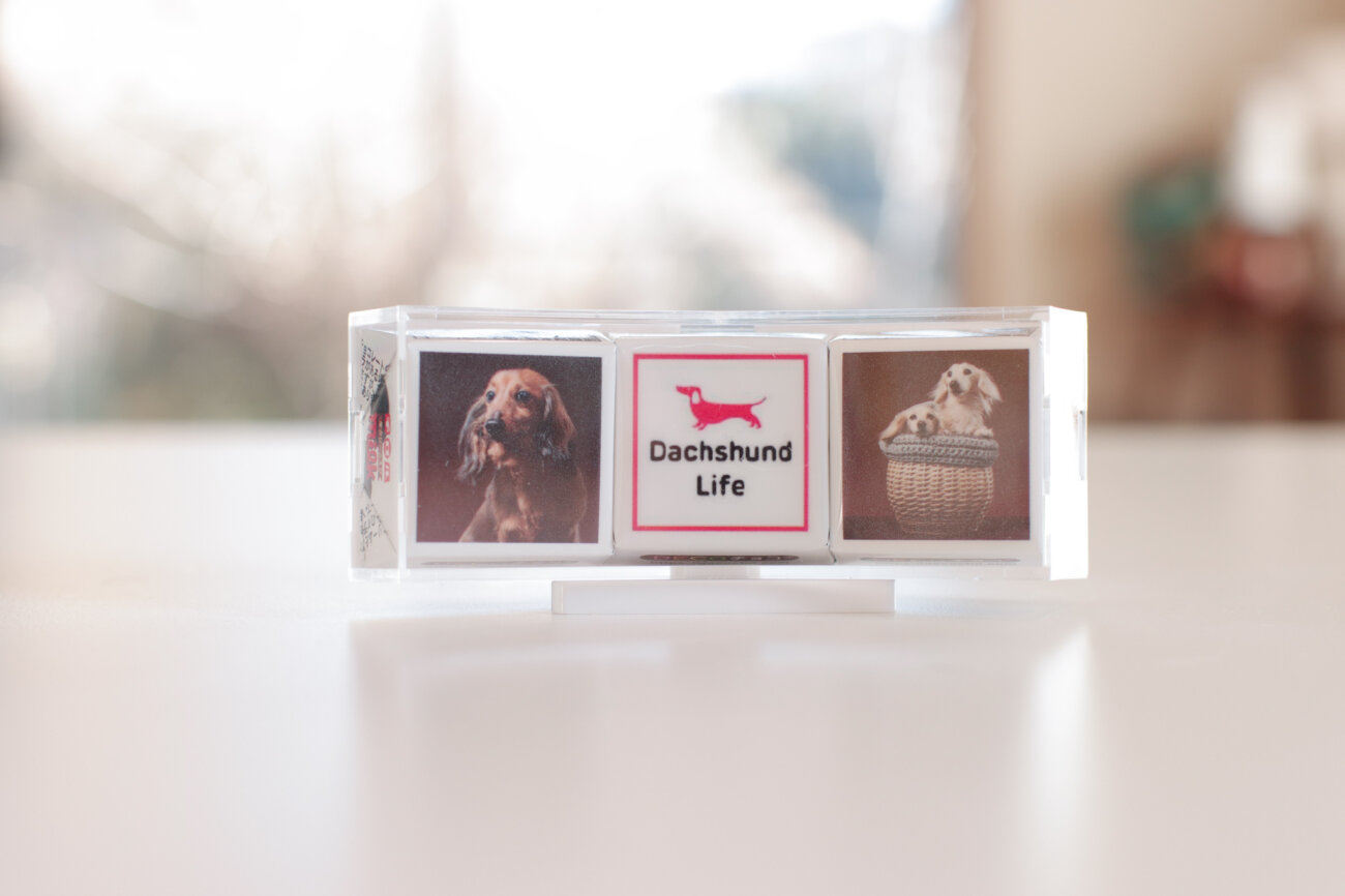 ダックスフンド,デコチョコ,チロルチョコ