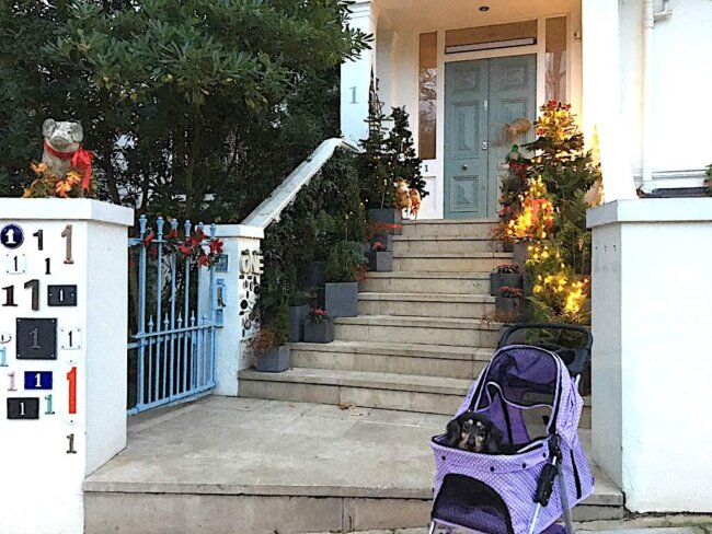 レジェンドダックス