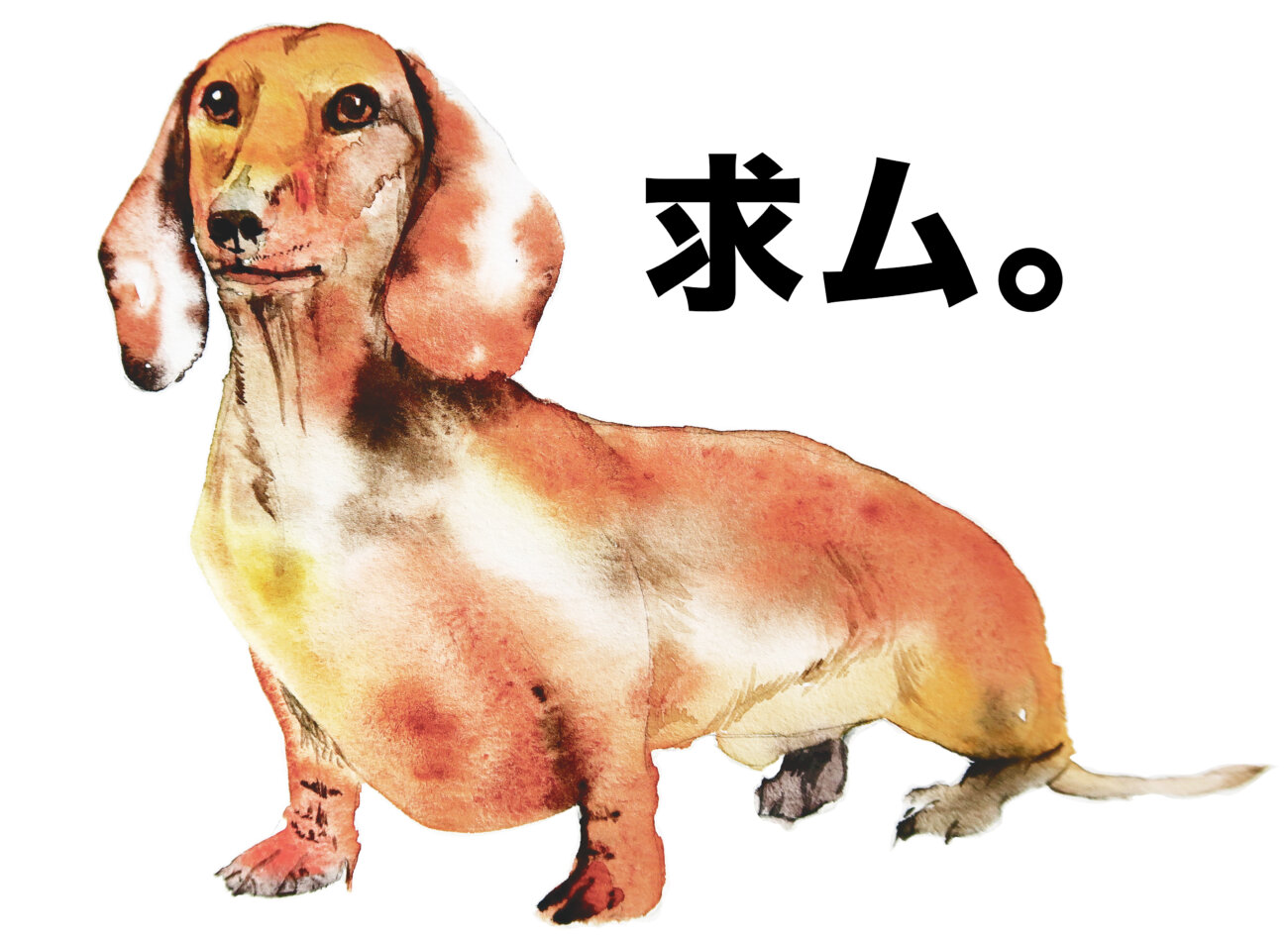 ダックスフンド,パナソニック,ジアイーノ