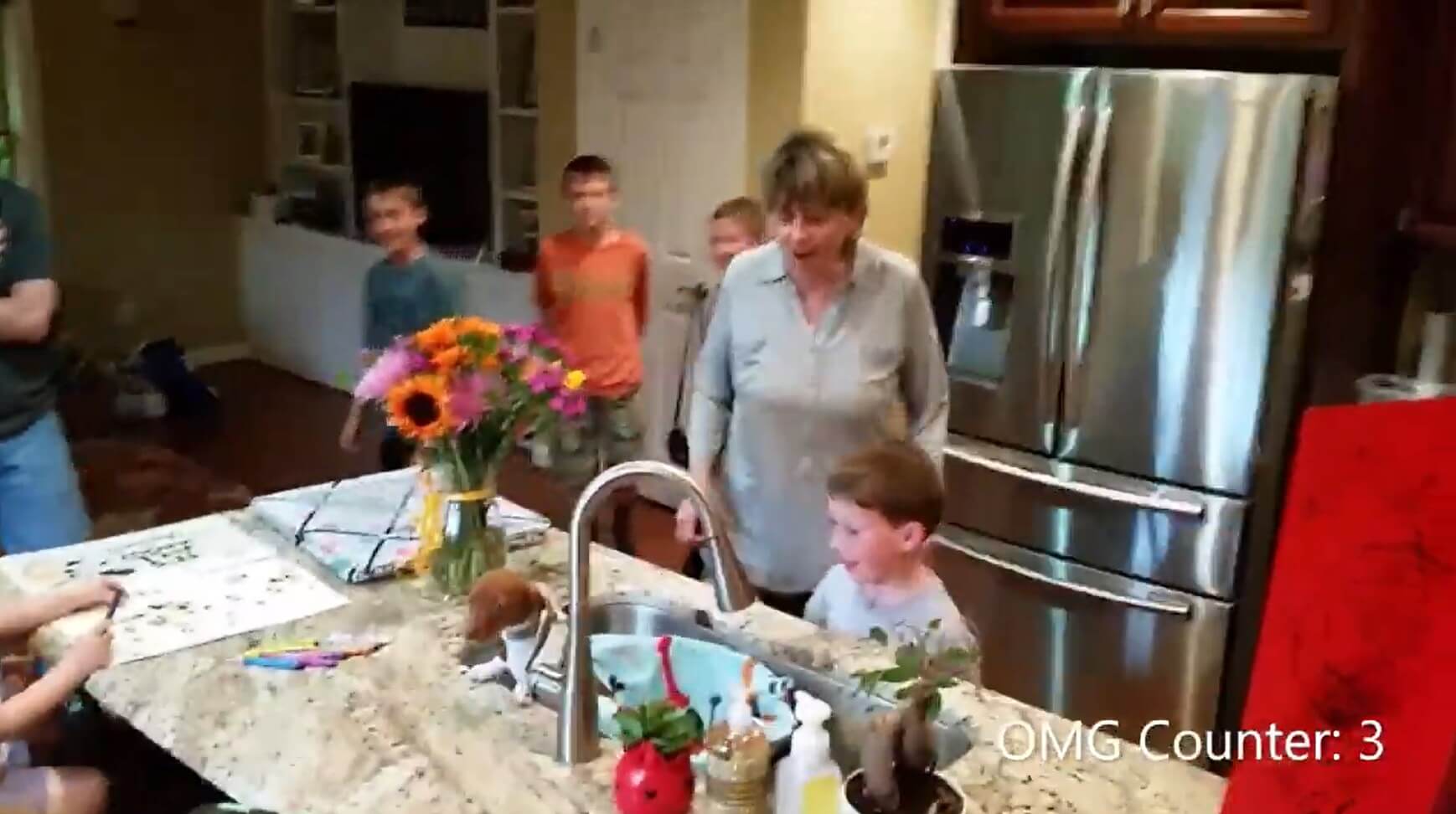 ダックスフンド,動画