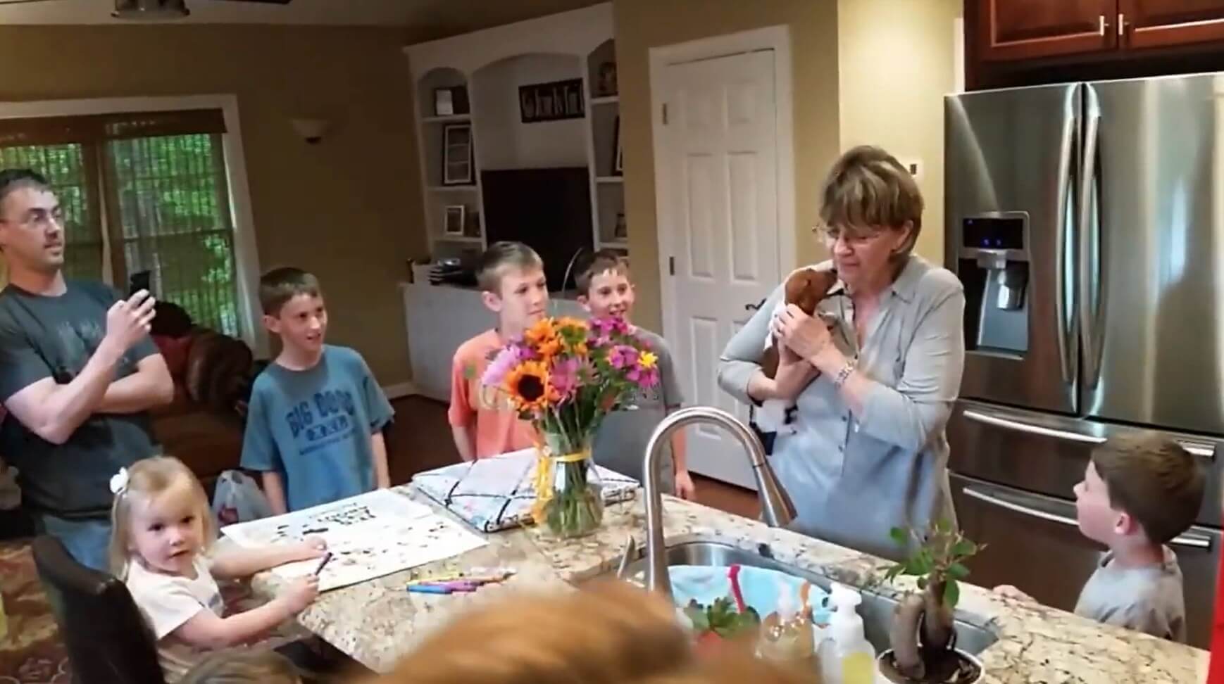 ダックスフンド,動画