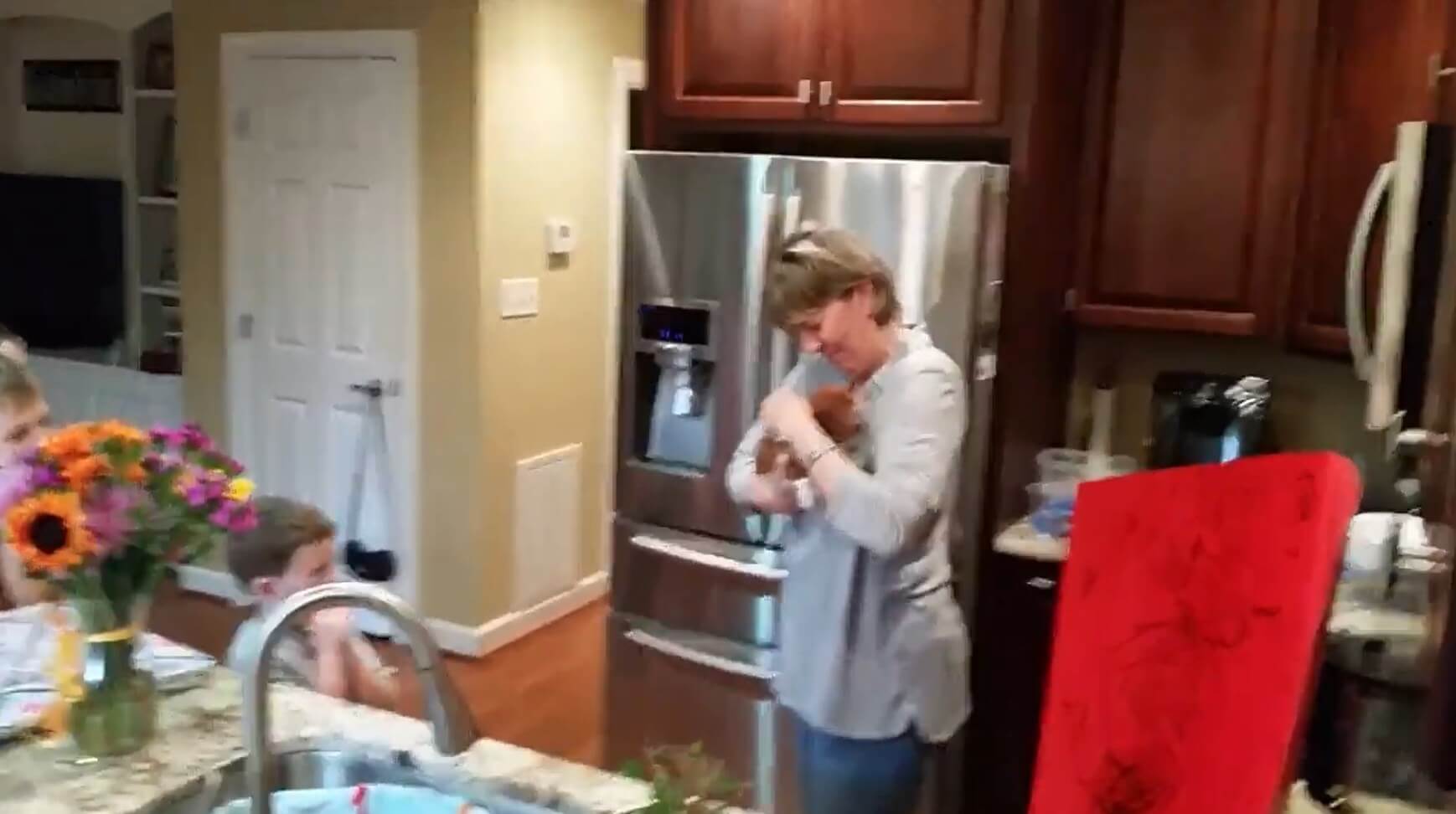 ダックスフンド,動画