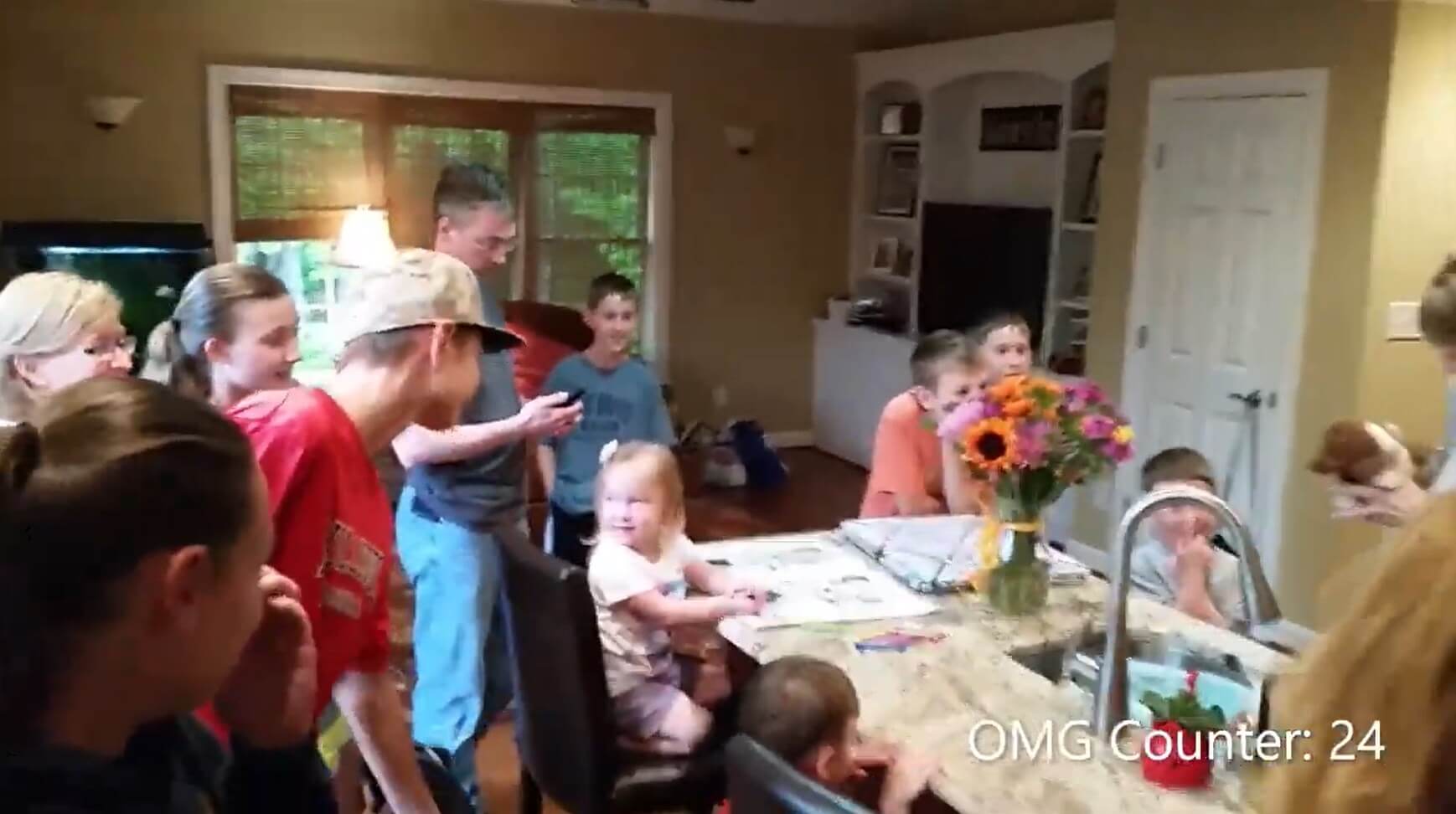 ダックスフンド,動画