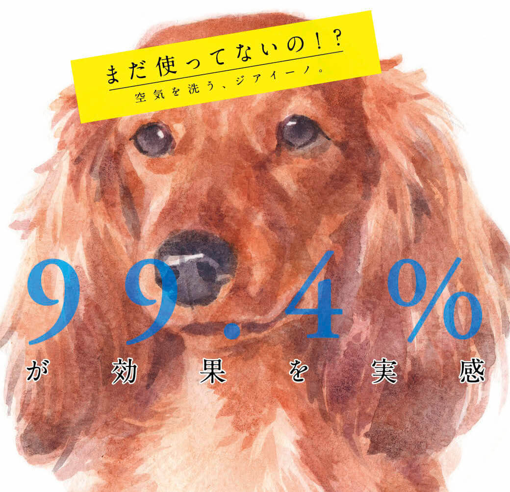 ダックスフンド,パナソニック,ジアイーノ