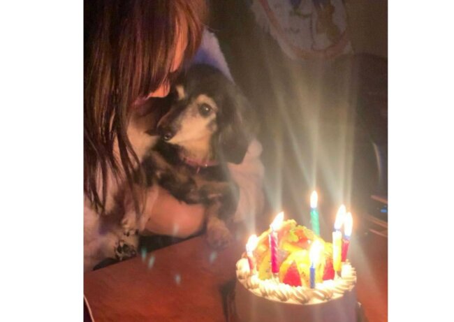 ダックスと家族