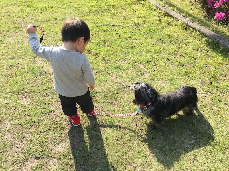 ダックスと家族