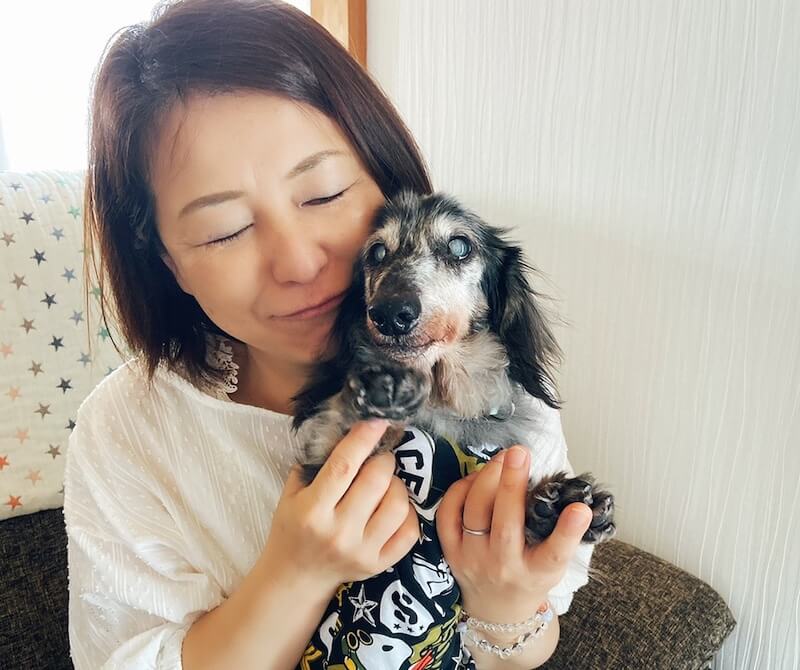 ダックスと家族