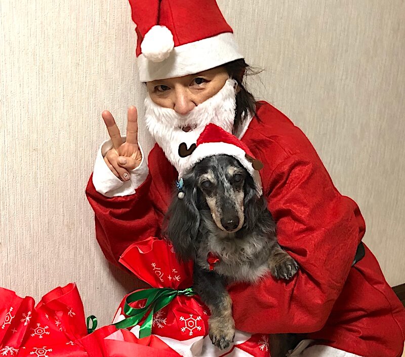 ダックスと家族