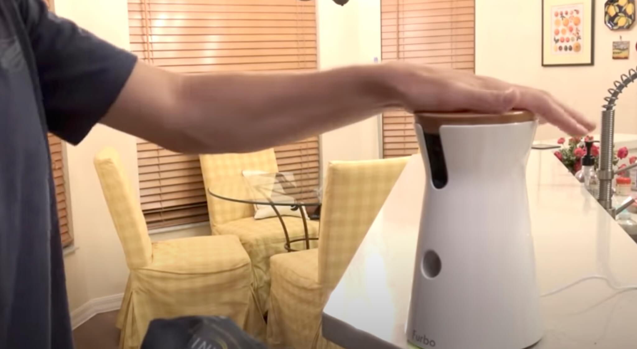 ダックスフンド,動画