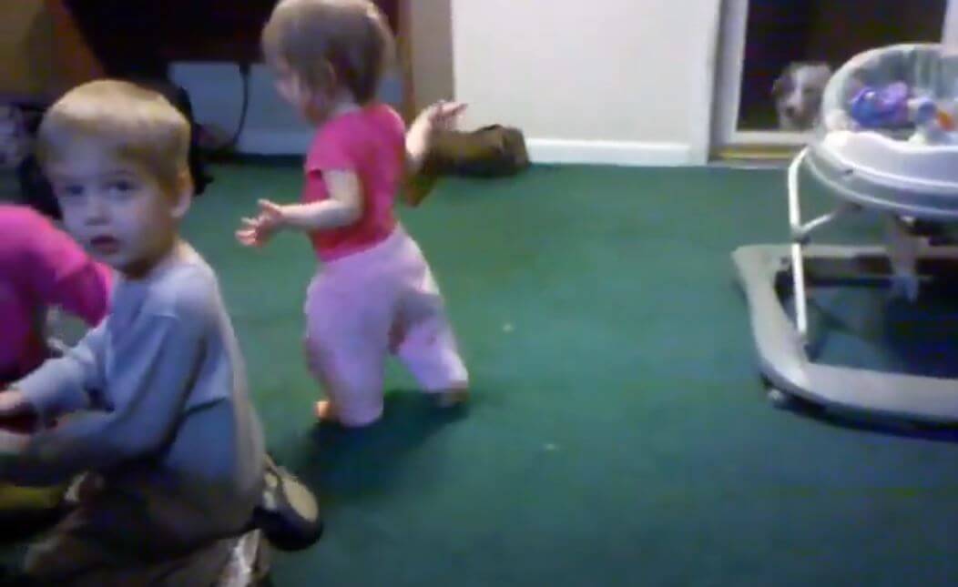 ダックスフンド,動画