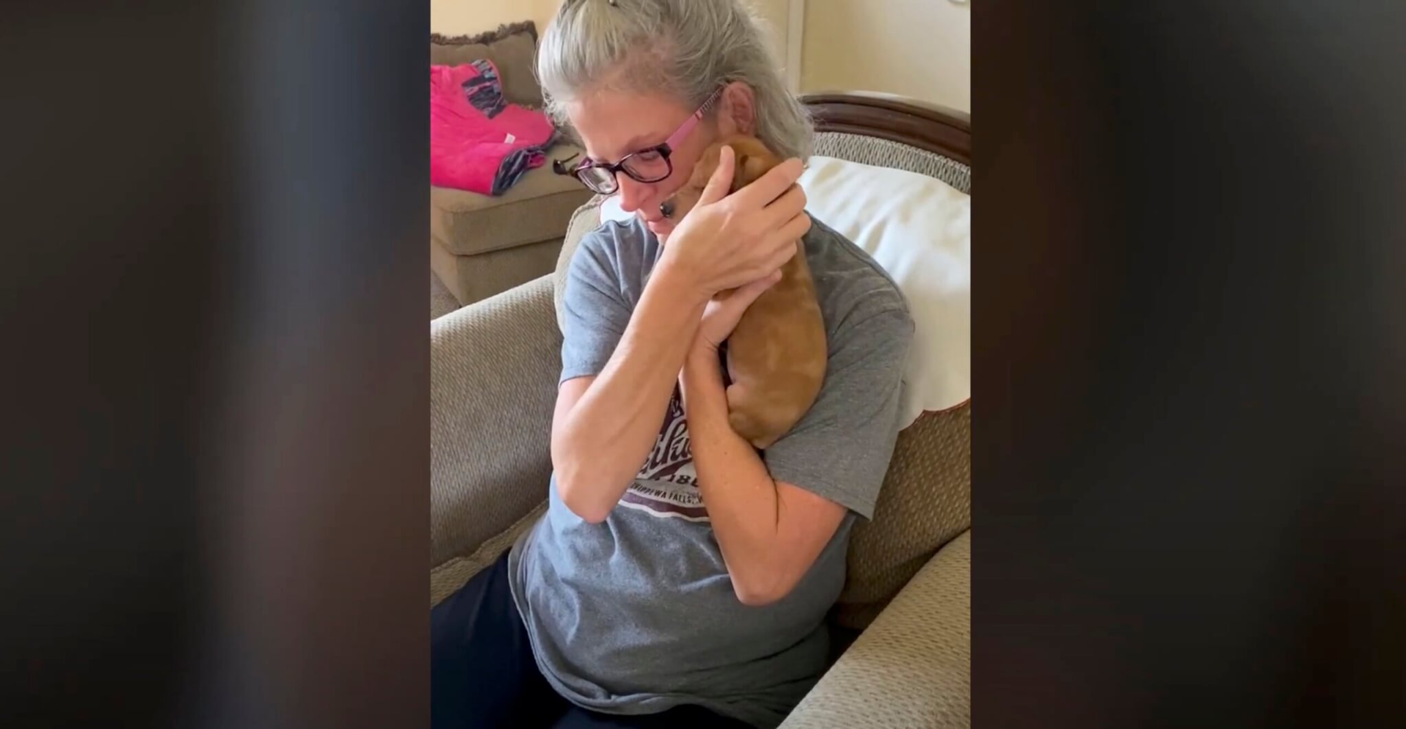 ダックスフンド,動画