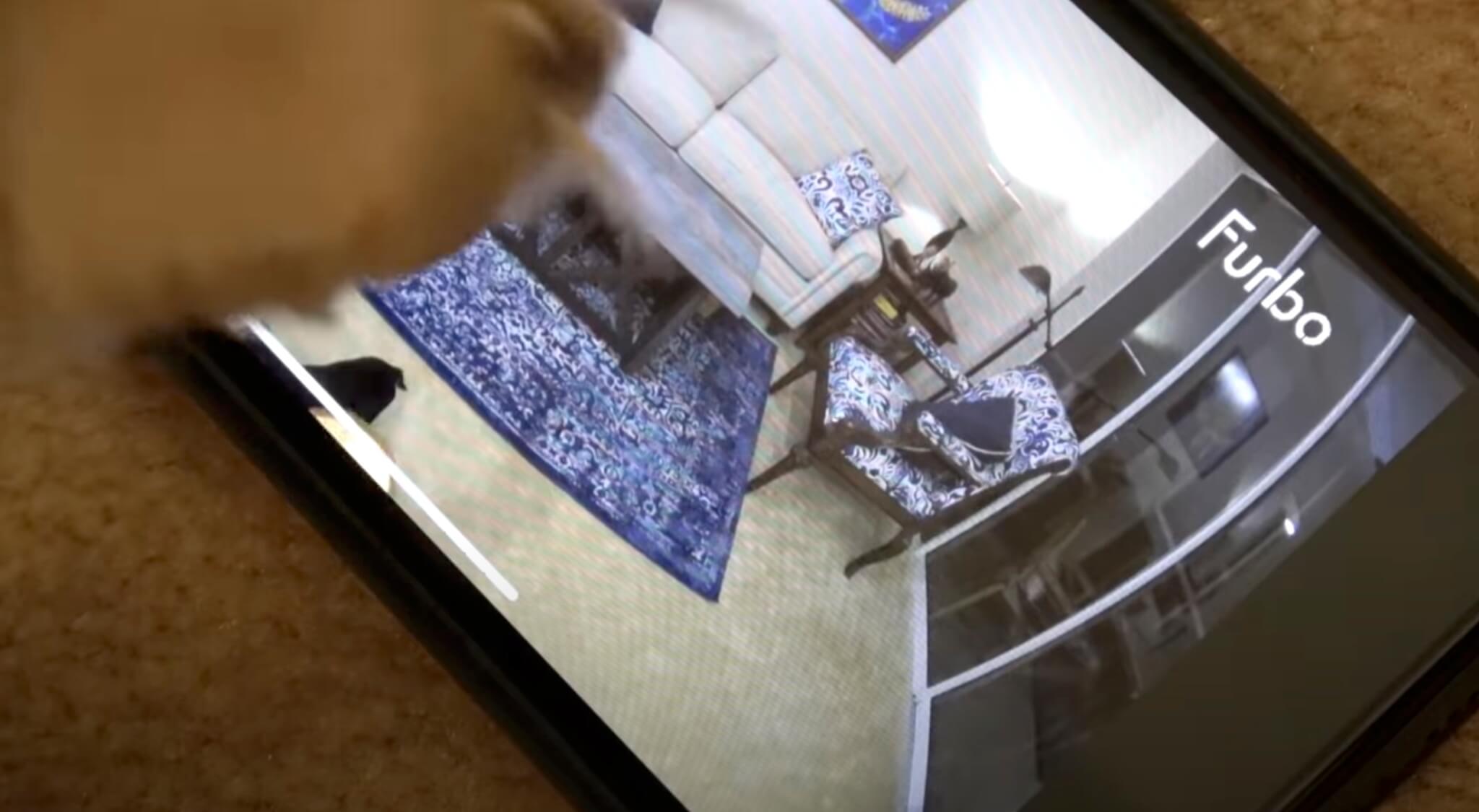 ダックスフンド,動画