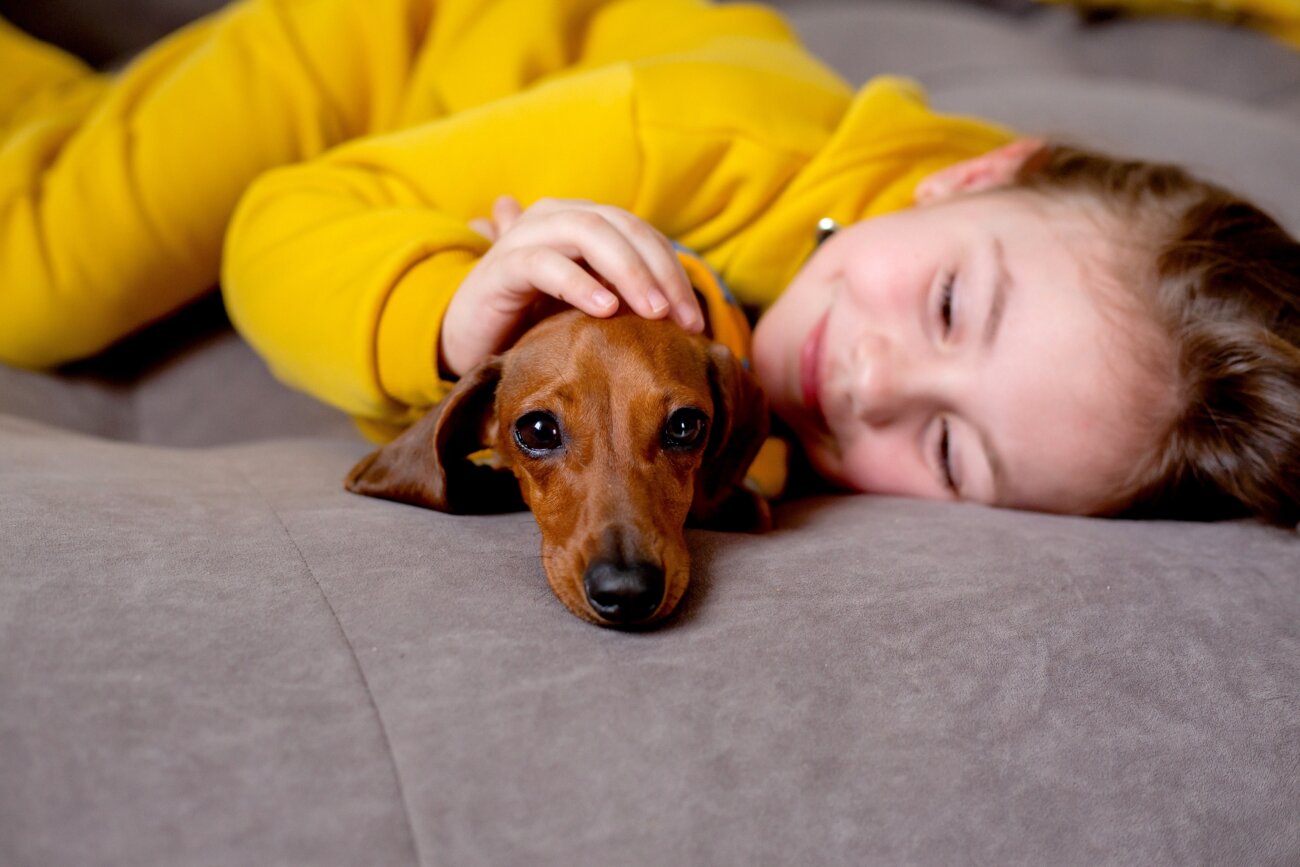 ダックスフンドライフ,パナソニック,ジアイーノ