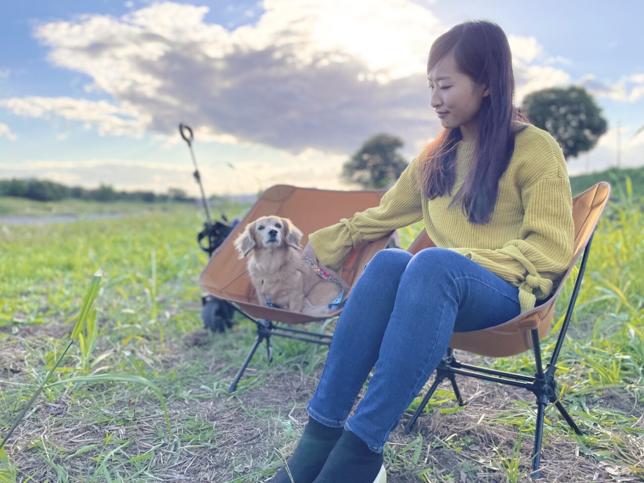 ダックスフンドライフ,ハーネス,ウルフギャング