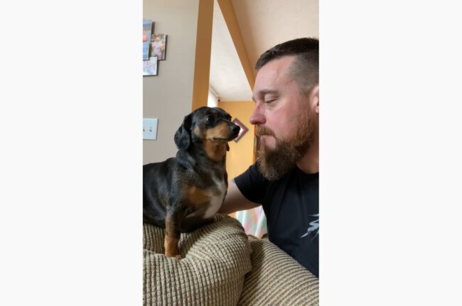 ダックスフンド,動画