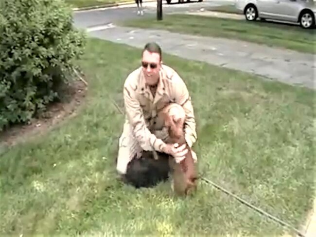 ダックスフンド,動画