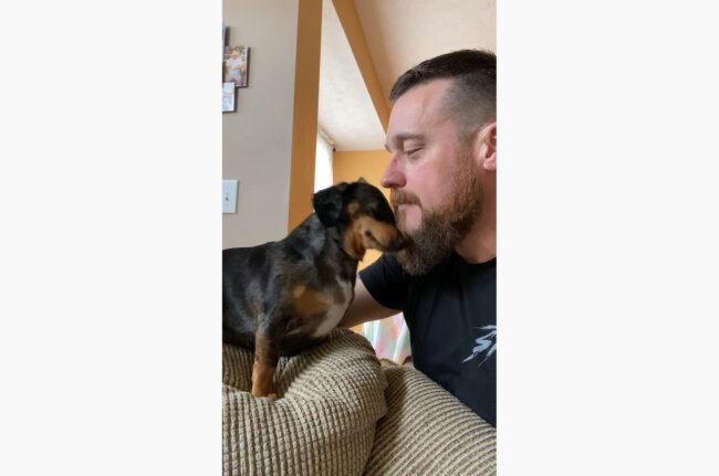 ダックスフンド,動画