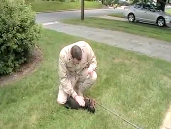 ダックスフンド,動画