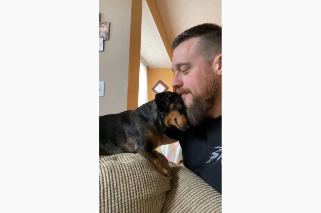 ダックスフンド,動画