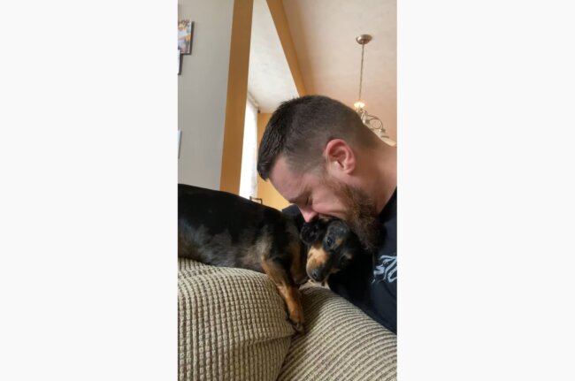 ダックスフンド,動画