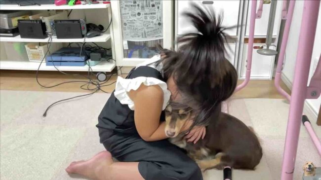 ダックスフンド,動画