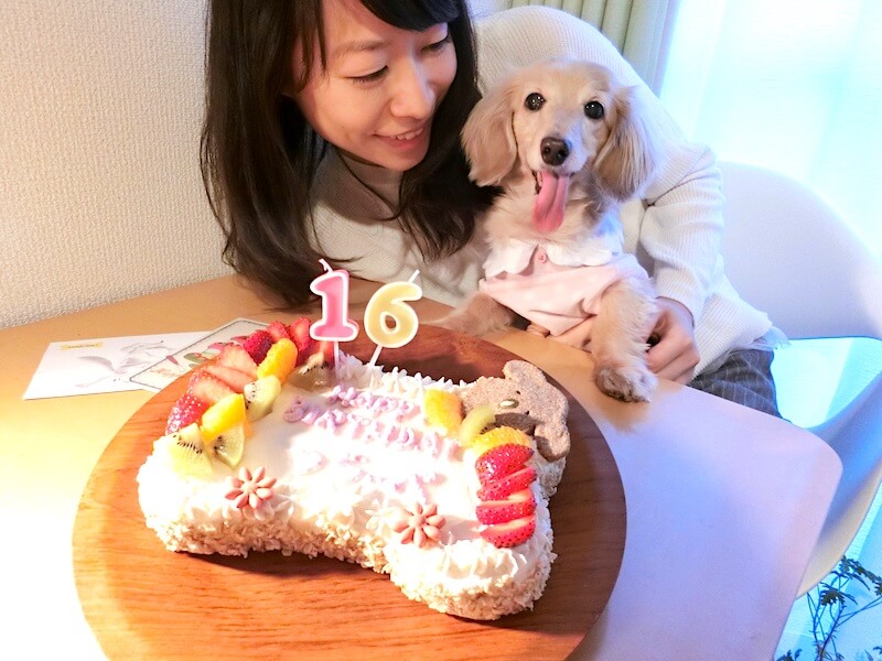 ダックスと家族