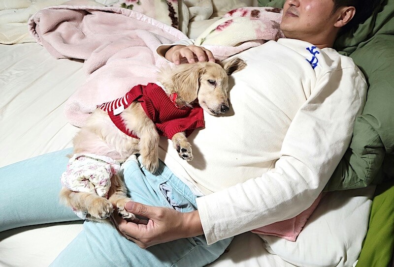 ダックスと家族