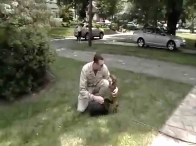 ダックスフンド,動画